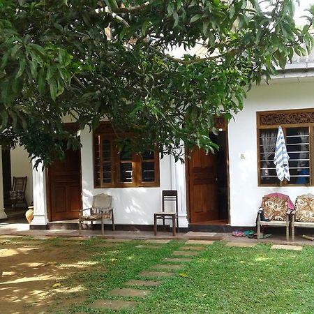 Hotel Rose Blossom Mirissa Exteriér fotografie